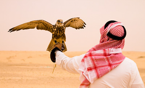 三分钟带你相识沙特SASO-SABER在线认证系统