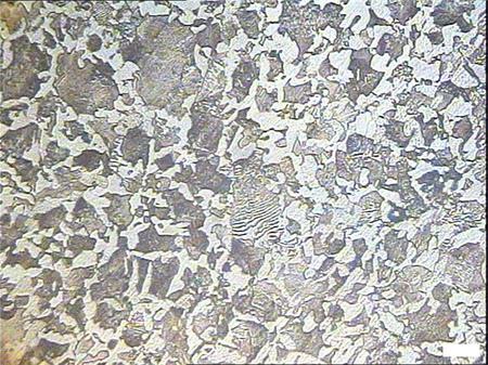 金相剖析标准大全