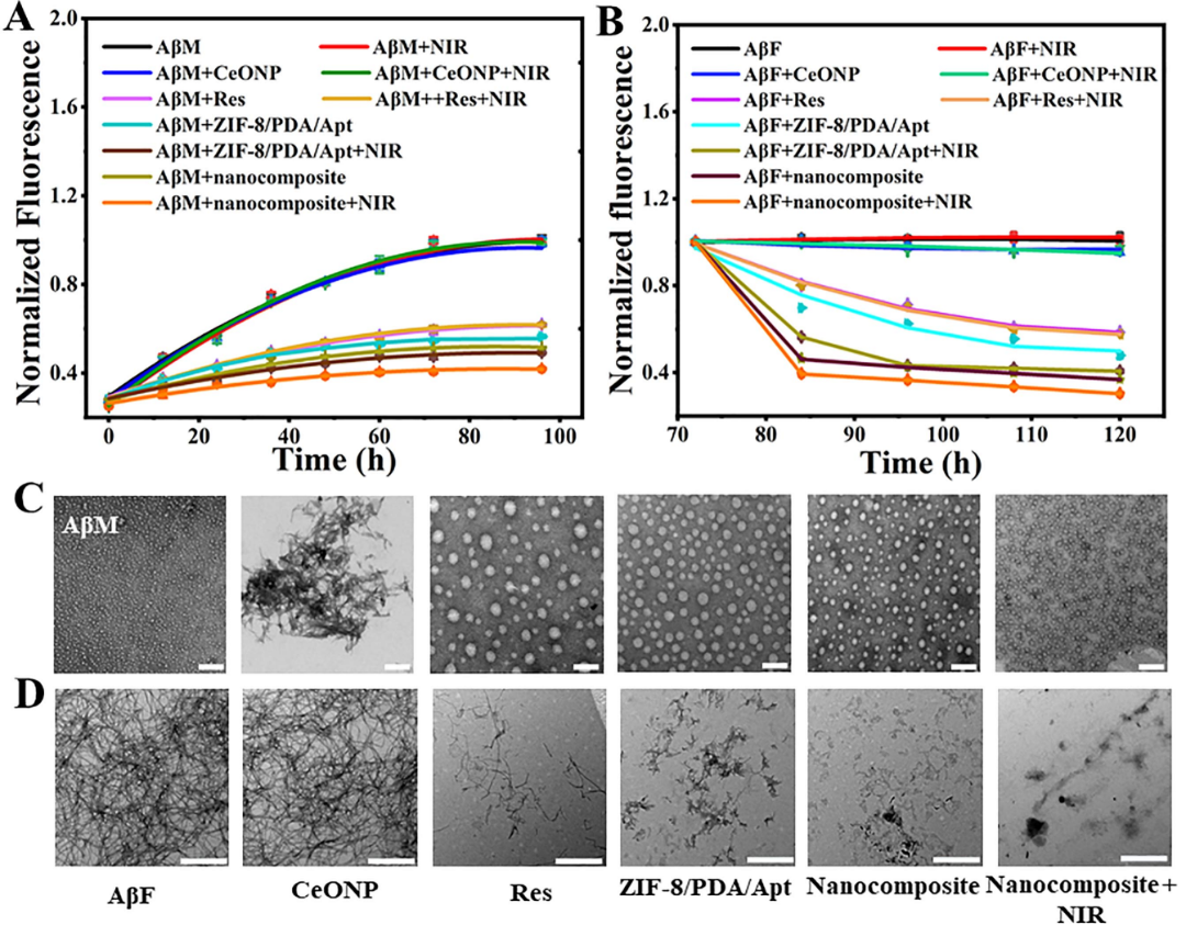 赢天堂(中国)官方网站