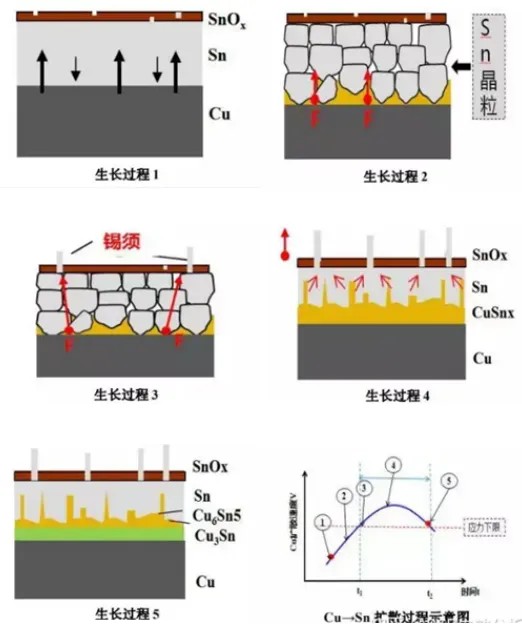 锡须试验历程