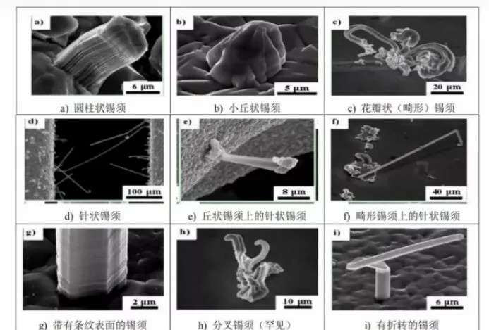 赢天堂(中国)官方网站